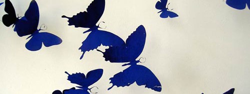 Тольятти выставка бабочек