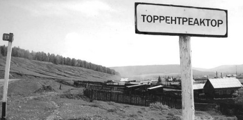 Торрентреактор, Гарь, под Томском сгорело 5 гектаров конопли, bb,